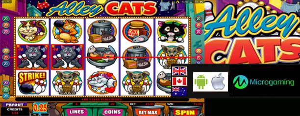 Alley Cats Slot - Free Cat Slots